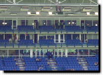 Seksorgieën in de box ?