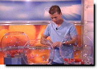 Nicky Hofs verricht loting